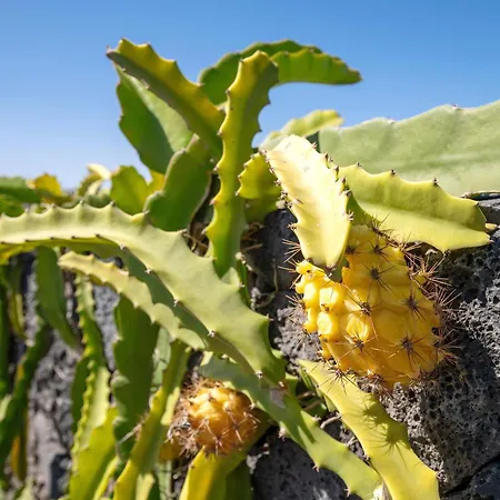 El Refugio 度假居