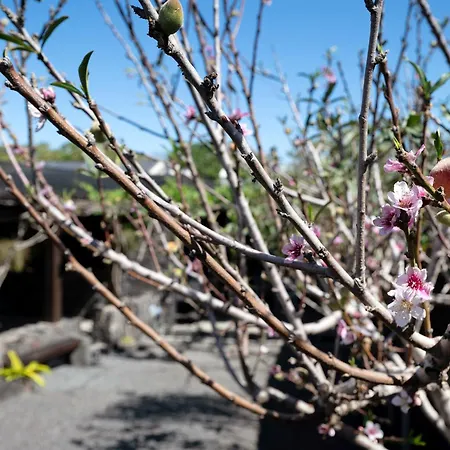 El Refugio 度假居 *